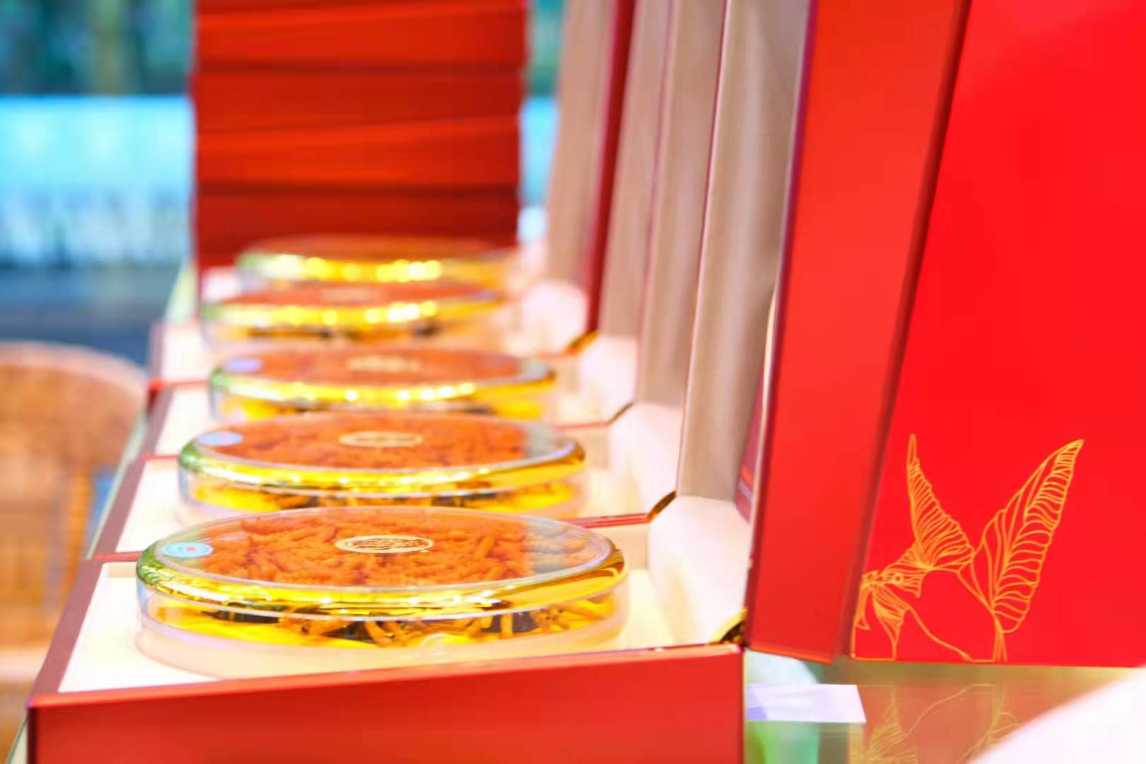 冬虫夏草17.jpg