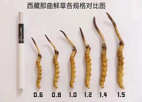 微信图片_20220602093251.jpg