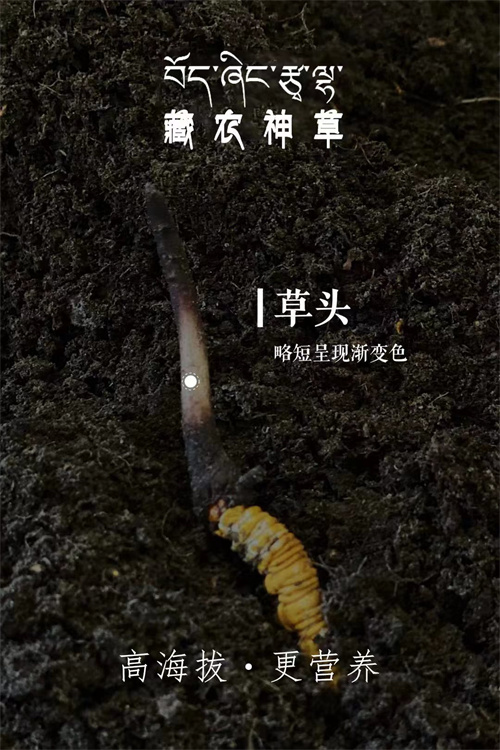 微信图片_20240429204818.jpg