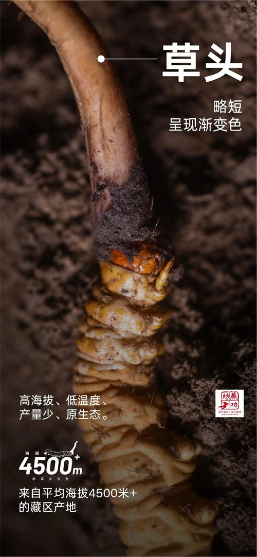 微信图片_20240429204758.jpg