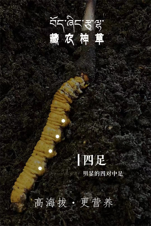 微信图片_20240429204812.jpg