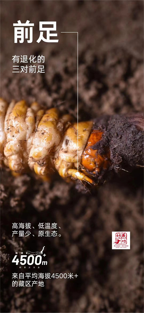 微信图片_20240429204742.jpg