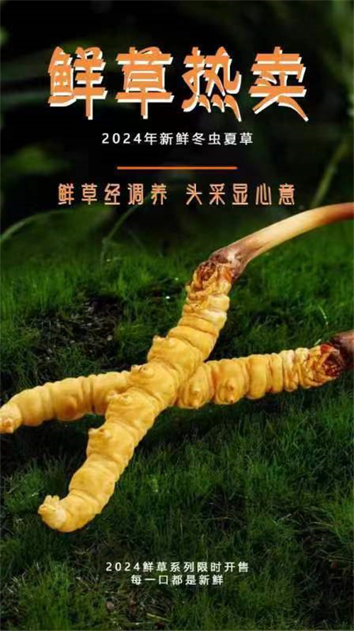 微信图片_20240429204930.jpg