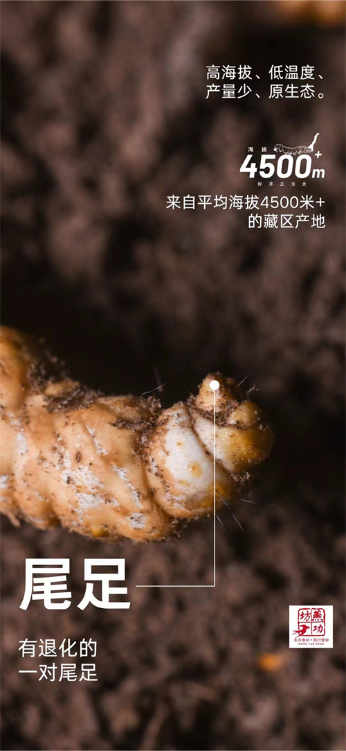 微信图片_20240429204801.jpg