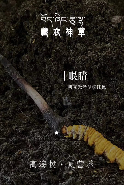 微信图片_20240429204822.jpg