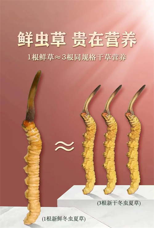 微信图片_20240429204906.jpg