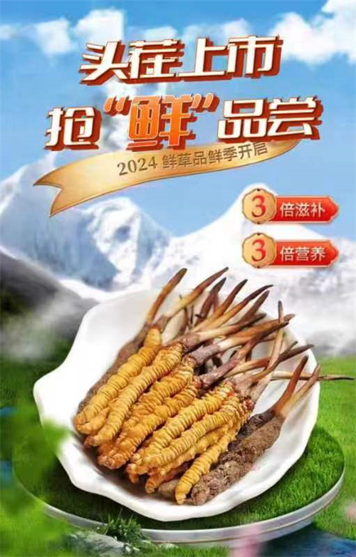 微信图片_20240429204924.jpg