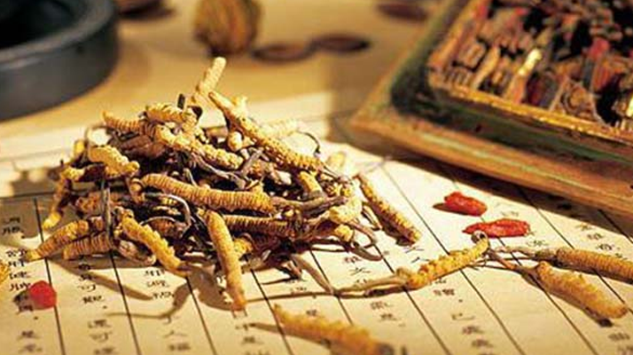 冬虫夏草在什么地方卖