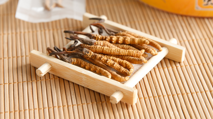 冬虫夏草的做法大全