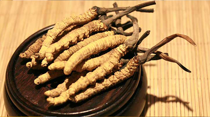 顶级冬虫夏草多少钱一克？解密高端滋补品的价格密码