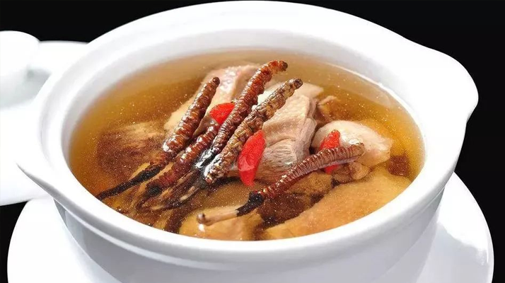 黄芪能和西藏那曲的冬虫夏草一起炖吗？