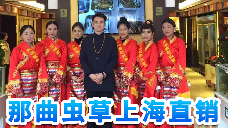 東強(qiáng)堂冬蟲夏草為什么那么便宜?